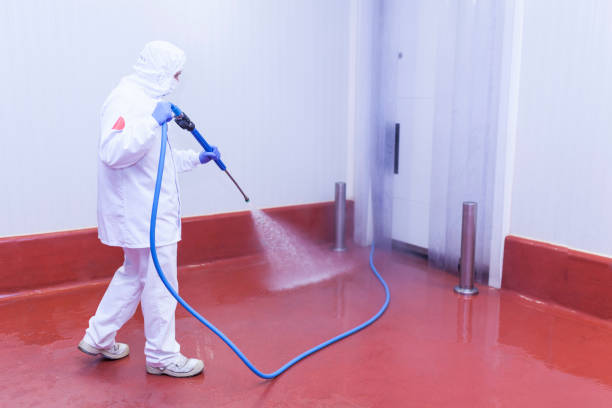 Pre-Holiday Cleaning in Clancy, MT